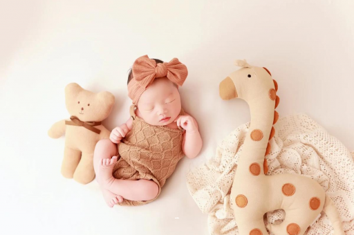 清远宝宝虾的做法